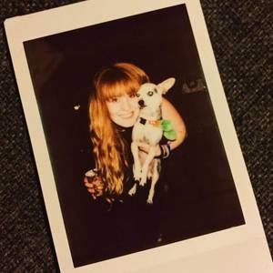 Meet your Posher, Lily